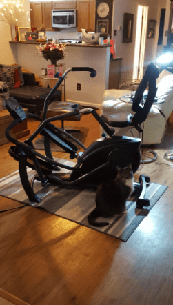 Top 6 Recumbent Ellipticals for Seniors: Safe, Comfortable Workouts 20 FreeStep LT1 Recumbent Cross Trainer Stepper review 3